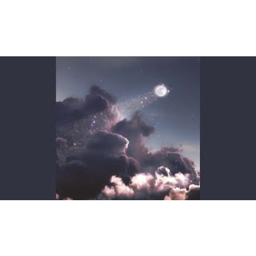 所念皆星河